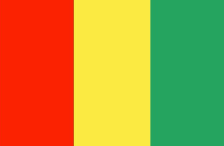 Guinea Flag