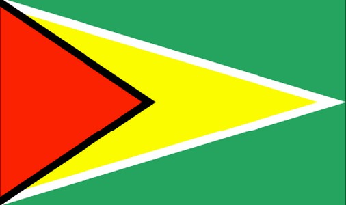 Guyana Flag