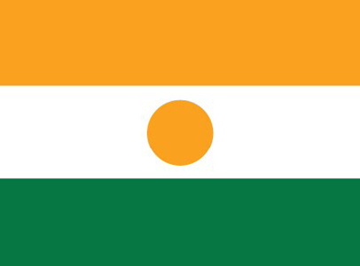 Niger Flag