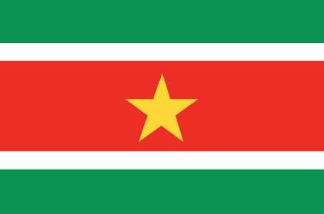 Suriname Flag