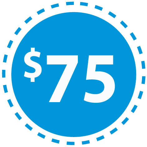 Four Business Day Apostille Service $75