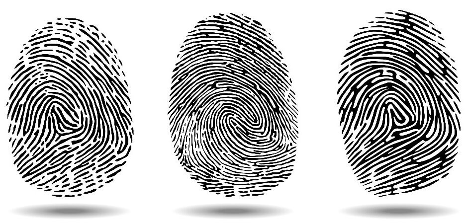 Apostille Fingerprints Fingerprinting Cards